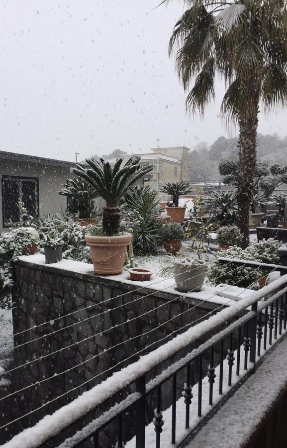 Carpe Diem B&B Ercolano Eksteriør bilde